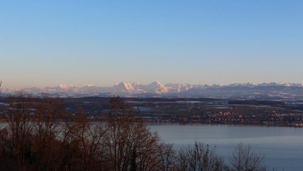 Le Mont-Vully - Hotel Restaurant Haut-Vully المظهر الخارجي الصورة